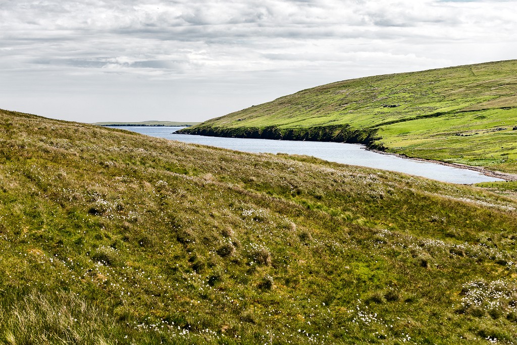Shetland 387 come oggetto avanzato-1 copia